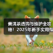 普洱茶选购与维护全攻略！2025年新手实用指南（图2）