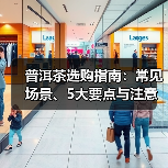 普洱茶选购指南:常见场景、5大要点与注意事项(图2) 普洱茶选购指南:常见场景、5大要点与注意事项(图2)