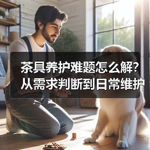 茶具养护难题怎么解?从需求判断到日常维护实用指南(图1) 茶具养护难题怎么解?从需求判断到日常维护实用指南(图1)