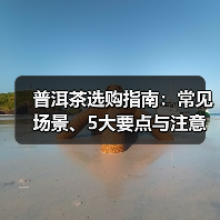 普洱茶选购指南:常见场景、5大要点与注意事项(图4) 普洱茶选购指南:常见场景、5大要点与注意事项(图4)