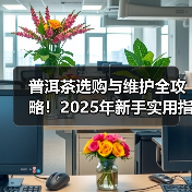 普洱茶选购与维护全攻略！2025年新手实用指南（图4）