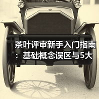 茶叶评审新手入门指南：基础概念误区与5大解决方法（图1）