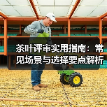 茶叶评审实用指南:常见场景与选择要点解析(图1) 茶叶评审实用指南:常见场景与选择要点解析(图1)