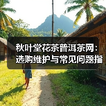 秋叶堂花茶普洱茶网:选购维护与常见问题指南(图1) 秋叶堂花茶普洱茶网:选购维护与常见问题指南(图1)